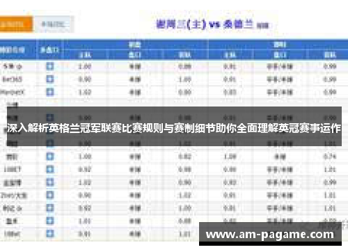 深入解析英格兰冠军联赛比赛规则与赛制细节助你全面理解英冠赛事运作