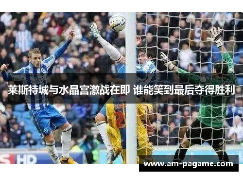 莱斯特城与水晶宫激战在即 谁能笑到最后夺得胜利 莱斯特城与水晶宫激战在即 谁能笑到最后夺得胜利