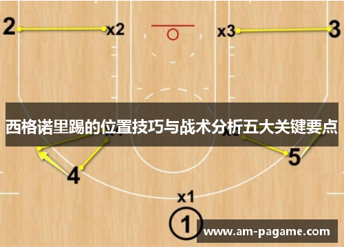 西格诺里踢的位置技巧与战术分析五大关键要点
