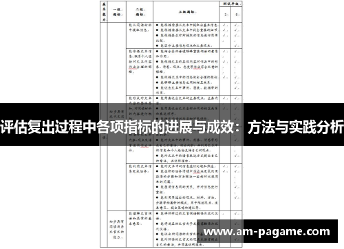 评估复出过程中各项指标的进展与成效：方法与实践分析