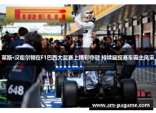 莱斯·汉密尔顿在F1巴西大奖赛上精彩夺冠 持续展现赛车霸主风采