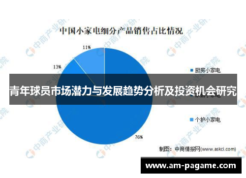 青年球员市场潜力与发展趋势分析及投资机会研究